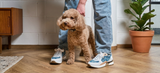 Come indossare le sneakers con outfit eleganti: idee per lui e per lei