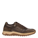 Sneakers Uomo Marroni