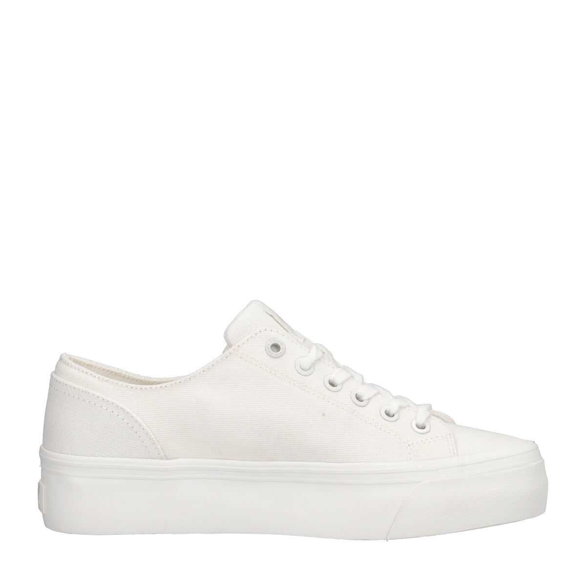 Sneakers CK Donna Bianche