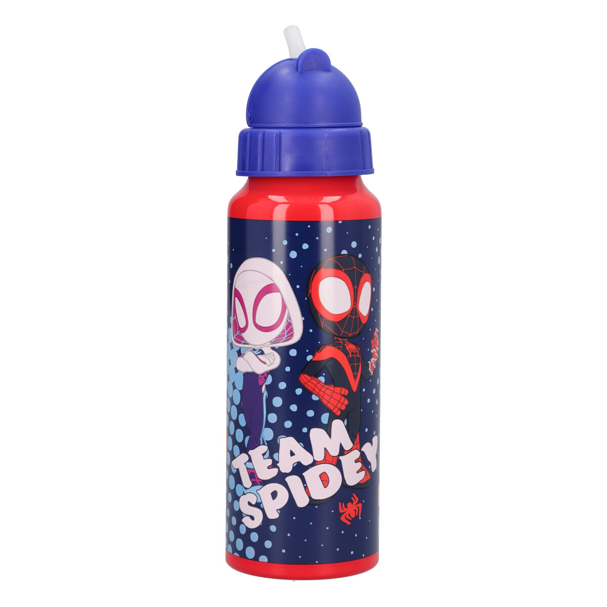 Borraccia 500ml Spidey and his Amazing Friends