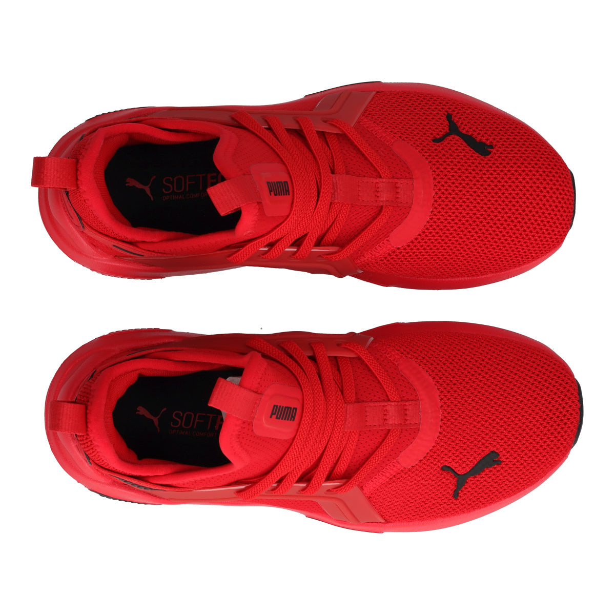SOFT ENZO 5 AC PS Sneakers Junior Rosse