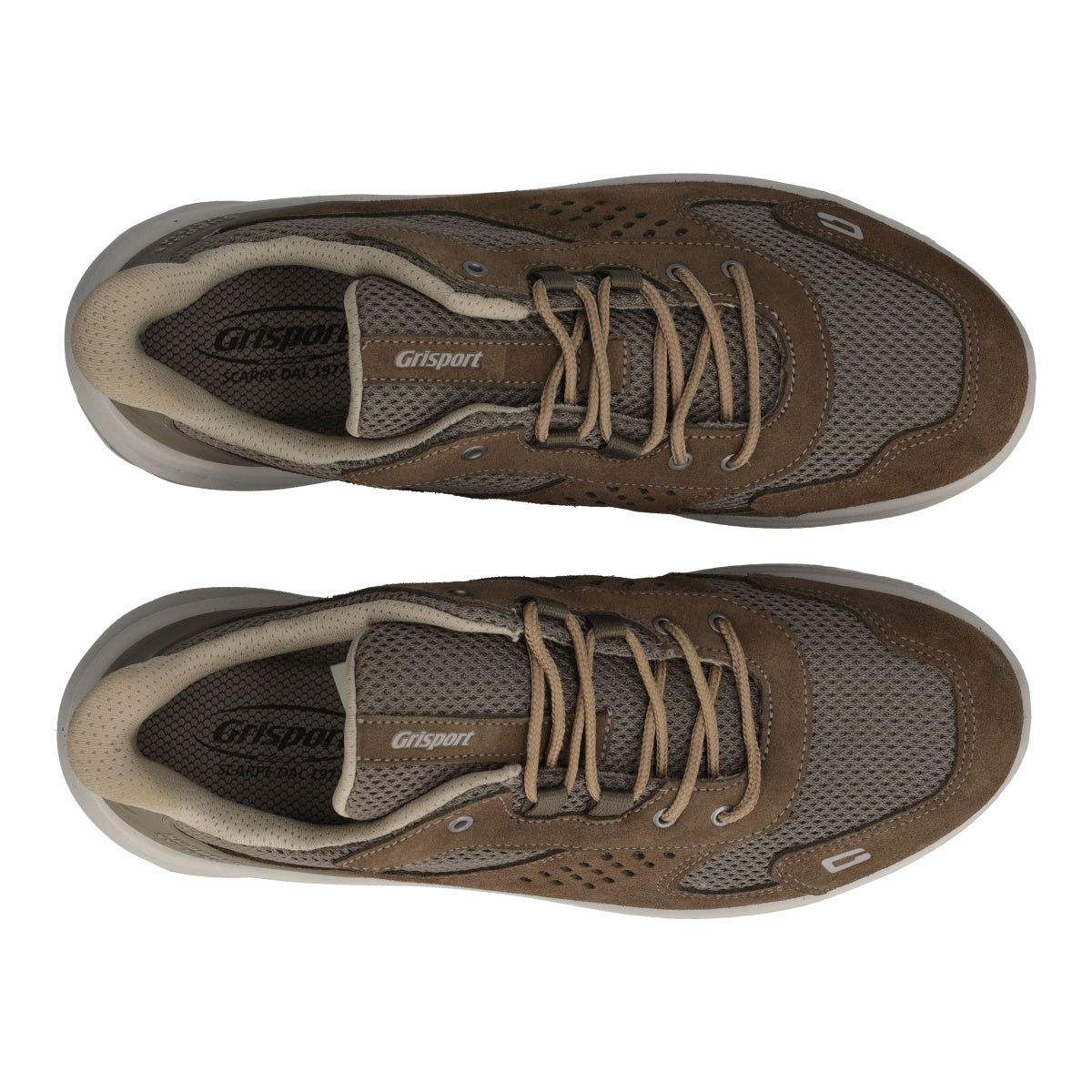 Sneakers Uomo Marroni