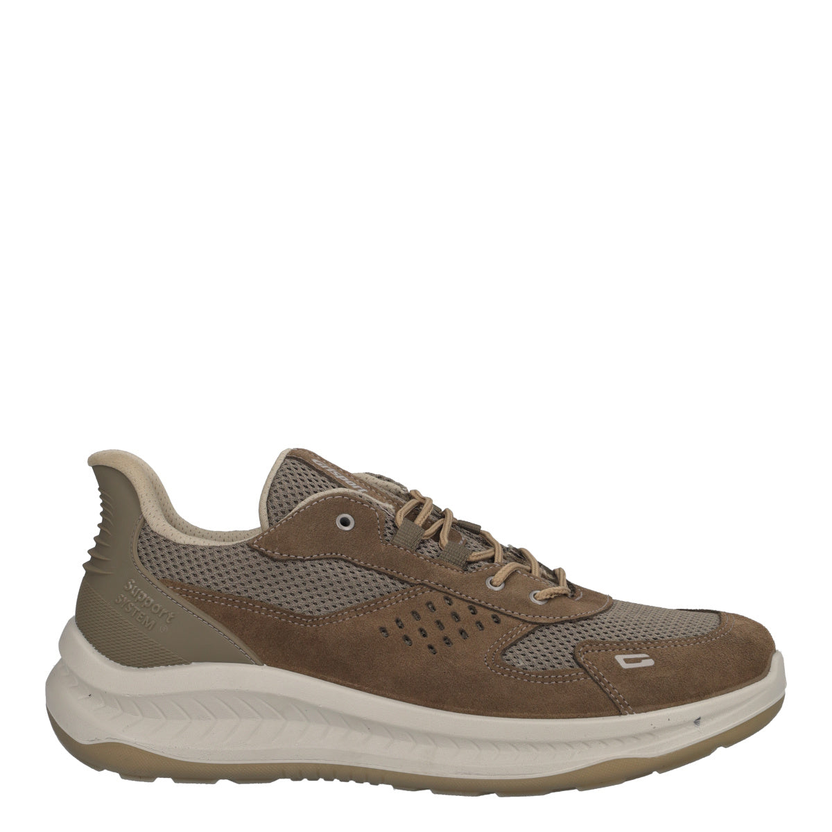 Sneakers Uomo Marroni