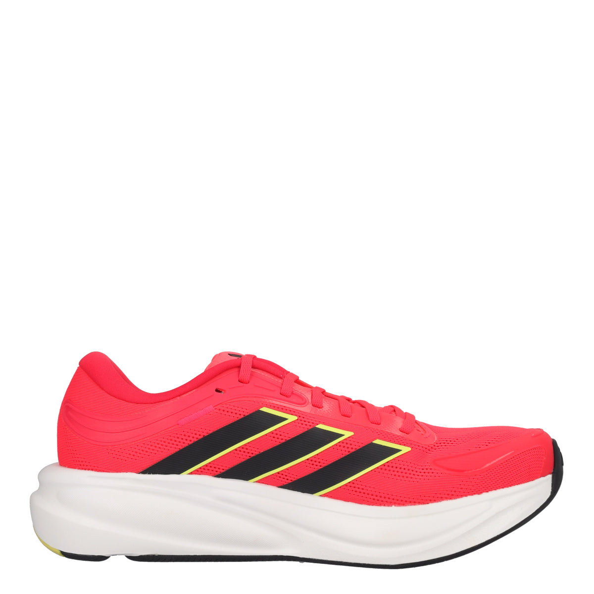 RESPONSE 2 Running Uomo Rosse