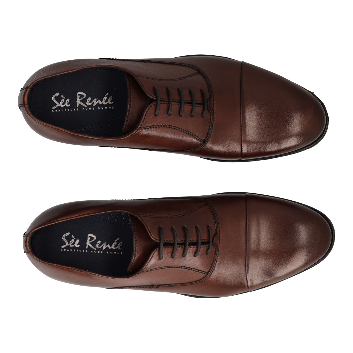 ROLLER Scarpe Eleganti Uomo Marroni in Pelle