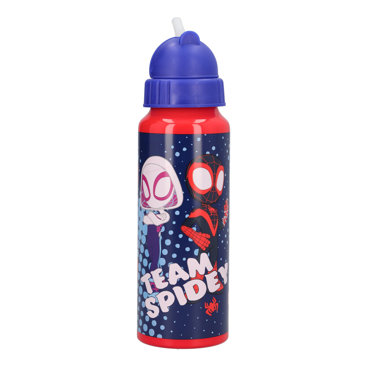 Borraccia 500ml Spidey and his Amazing Friends