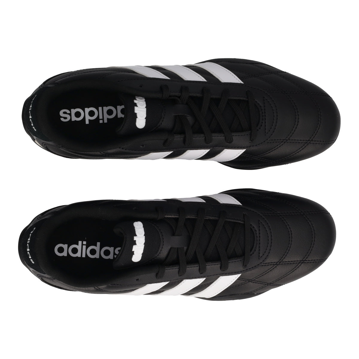 ADIPISTA
