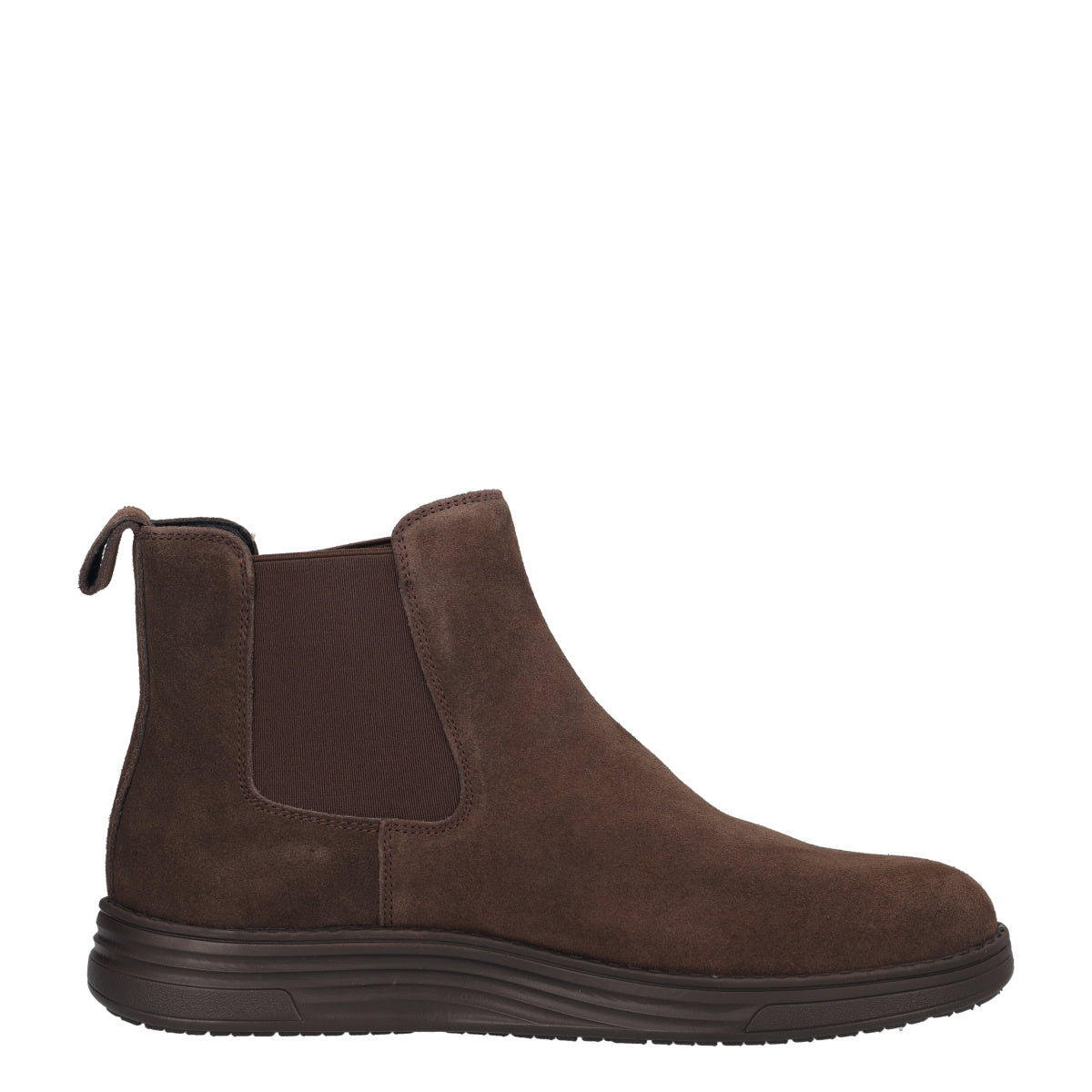 Polacco Uomo Marrone