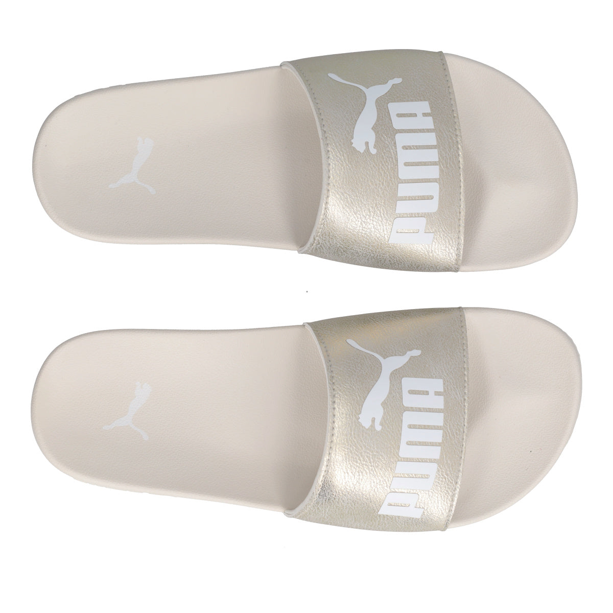 LEADCAT 2.0 METALLIC WHISPER Ciabatte Mare Donna Argento