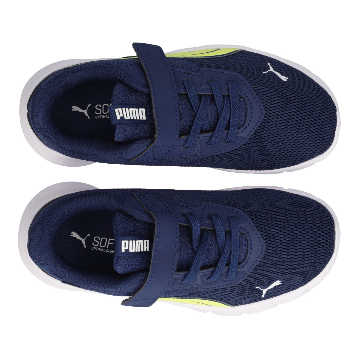 FLEXFOCUS MODERN AC PS Sneakers Junior Blu