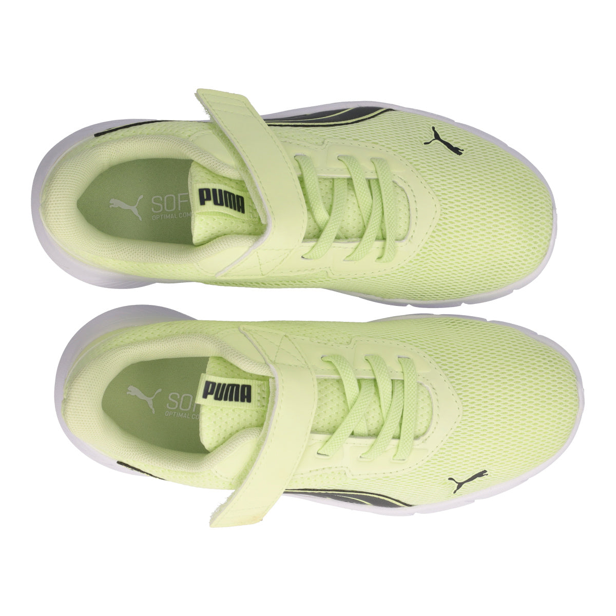 FLEXFOCUS MODERN AC PS Sneakers Junior Gialle