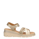 Zeppe Donna Oro