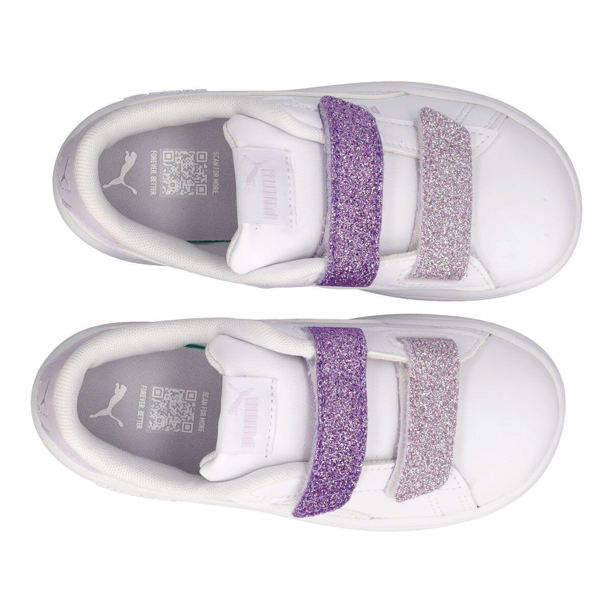 SMSH03.0L GLTTRVLCR V INF