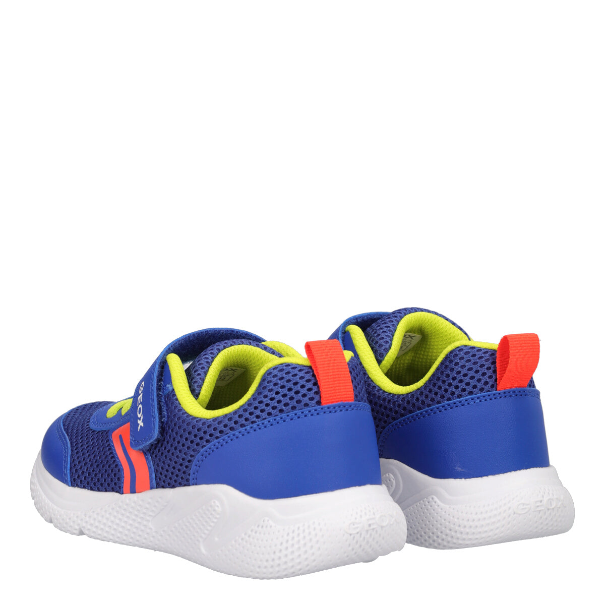 SPRINTYE Sneakers Blu Bambino