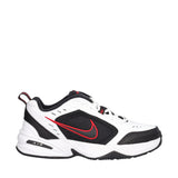 AIR MONARCH IV