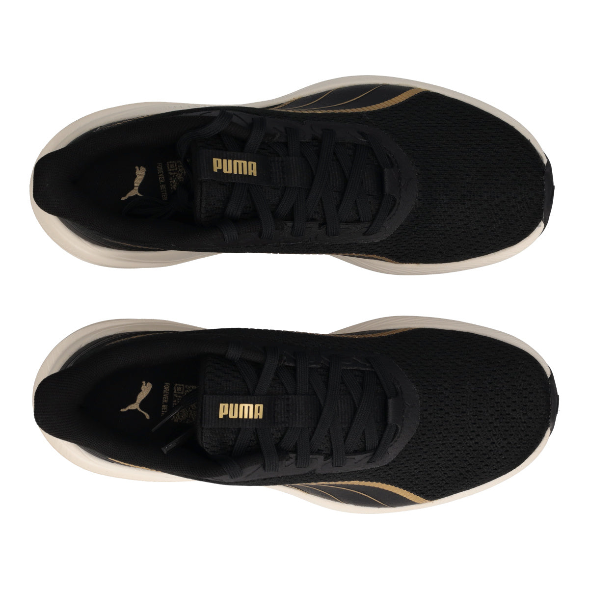 DASHER LITE Running Donna Nere