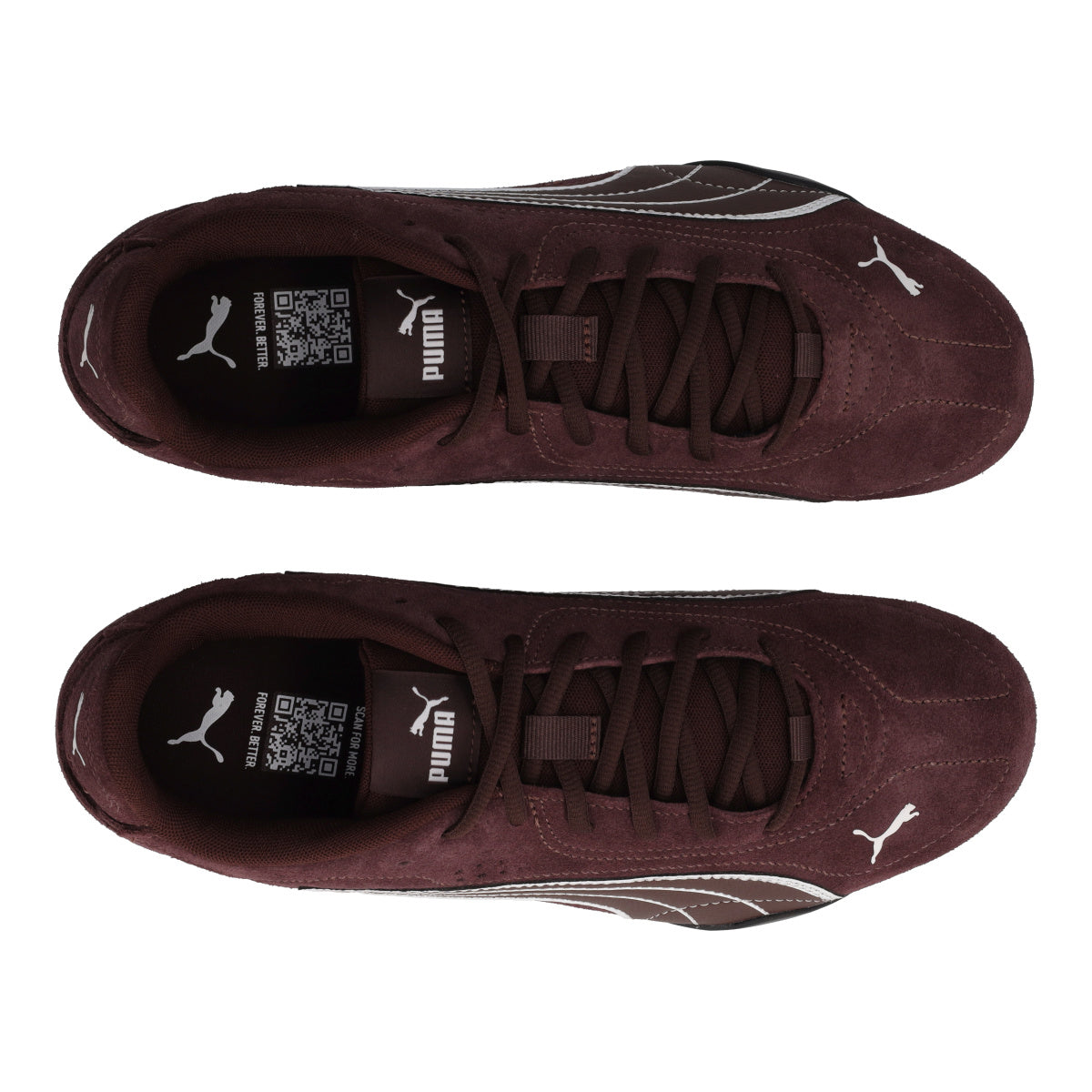 CATCH SD Sneakers Uomo Marrone