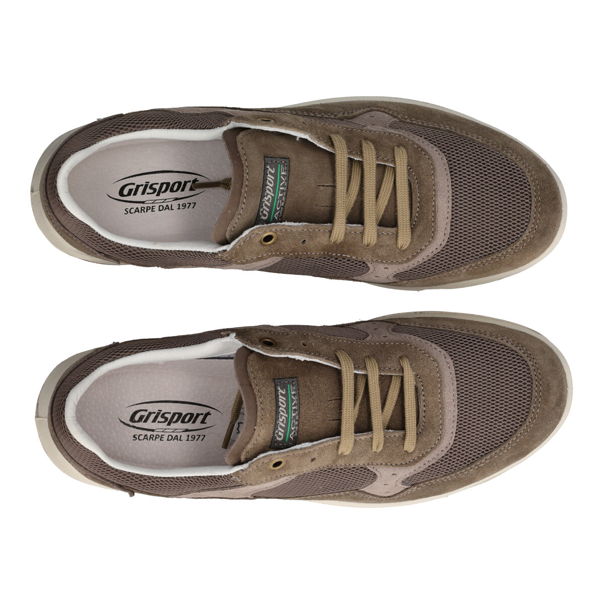 Sneakers Uomo Marroni