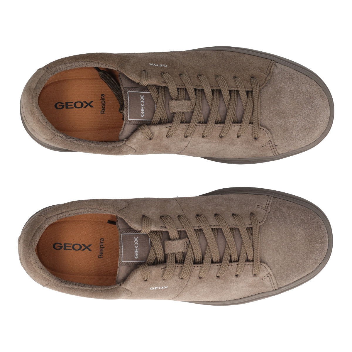 BALTMOORE Sneakers Uomo Taupe