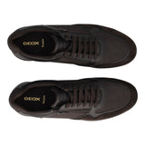 AVERY Stringate Uomo Marroni