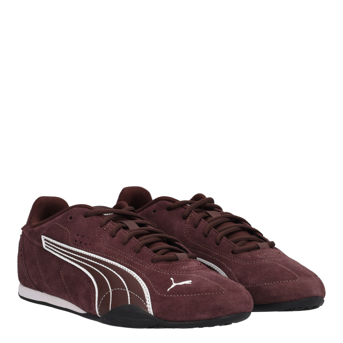 CATCH SD Sneakers Uomo Marrone