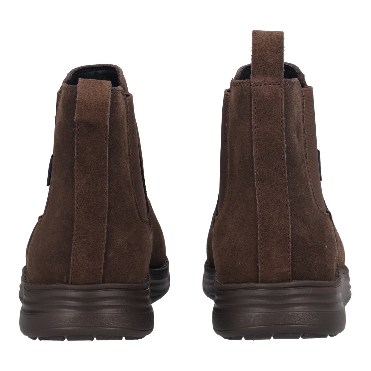 Polacco Uomo Marrone